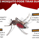 Porto Ferreira registrou cinco casos de dengue até agora no segundo semestre