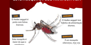 Porto Ferreira registrou cinco casos de dengue até agora no segundo semestre