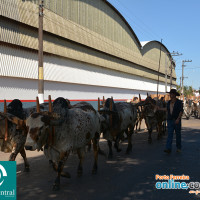 No dia 29 de Maio ocorreu a Cavalgada em homenagem a Santa Rita de Cássia, que foi comemorada no dia 22 de Maio - Foto 17