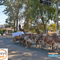 No dia 29 de Maio ocorreu a Cavalgada em homenagem a Santa Rita de Cássia, que foi comemorada no dia 22 de Maio - Foto 31