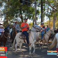 No dia 29 de Maio ocorreu a Cavalgada em homenagem a Santa Rita de Cássia, que foi comemorada no dia 22 de Maio - Foto 47