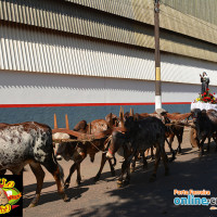 No dia 29 de Maio ocorreu a Cavalgada em homenagem a Santa Rita de Cássia, que foi comemorada no dia 22 de Maio - Foto 8