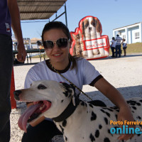 IV FestDog de Porto Ferreira - Parte 1 - Foto 36