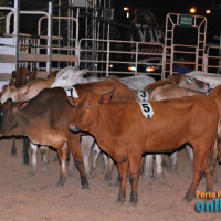 EXPOSHOW 2011 - Show com Exalta Samba - 04/08 - Parte 2 - Foto 80