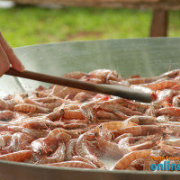 Almoço na Fazenda Rio Corrente com Gilberto Chateaubriand - Foto 6