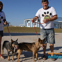 IV FestDog de Porto Ferreira - Parte 1 - Foto 3