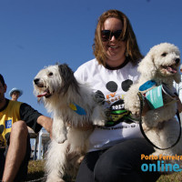 IV FestDog de Porto Ferreira - Parte 1 - Foto 65