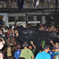 Carnaval de Rua 2012 - Parte 01 - Foto 2