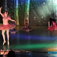 VIII Festival de Dança - 2012 - 08/12 - Parte 02 - Foto 67