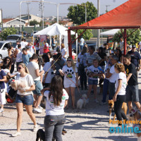 IV FestDog de Porto Ferreira - Parte 1 - Foto 63