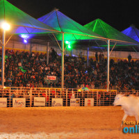 EXPOSHOW 2011 - Show com Exalta Samba - 04/08 - Parte 2 - Foto 77