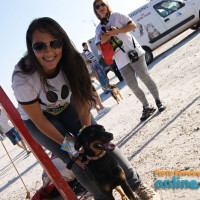 IV FestDog de Porto Ferreira - Parte 1 - Foto 5