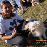 IV FestDog de Porto Ferreira - Parte 1 - Foto 64