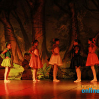 III Festival de Dança: Alice no País das Maravilhas - Foto 32