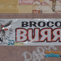 Carnaval 2018 com Broco do Burro - P-01 - Foto 32