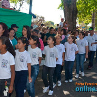 Desfile Cívico 7 de Setembro 2013 - Porto Ferreira - Parte 02 - Foto 69