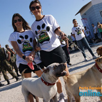 IV FestDog de Porto Ferreira - Parte 1 - Foto 46