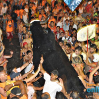 Carnaval de Rua 2012 - Parte 01 - Foto 38