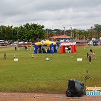 1° Exposição Especializada da Raça Pastor Alemão de Porto Ferreira dia 26/08 - Foto 1