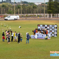 1° Exposição Especializada da Raça Pastor Alemão de Porto Ferreira dia 26/08 - Foto 4