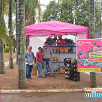 1° Exposição Especializada da Raça Pastor Alemão de Porto Ferreira dia 26/08 - Foto 5