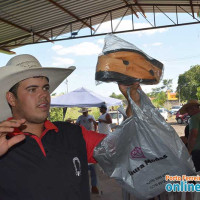 Encontro dos amigos, em prol a N.S. Aparecida - Foto 224