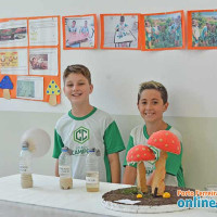 Colégio Campos - Feira Científica Cultural - Foto 192