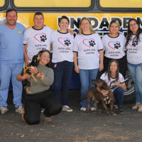 Mutirão no sábado castrou e microchipou mais de 200 cães e gatos - Foto 1