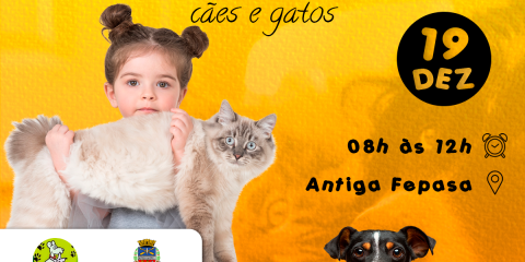 Feira de adoção de cães e gatos acontece próximo domingo (19/12), na antiga Fepasa