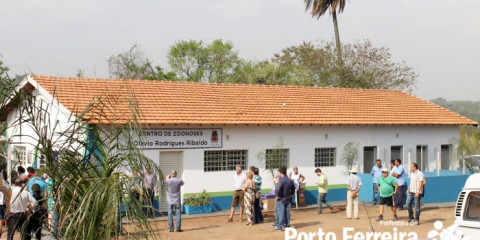 Castração de cães e gatos machos: procura tem sido baixa na Vigilância Sanitária