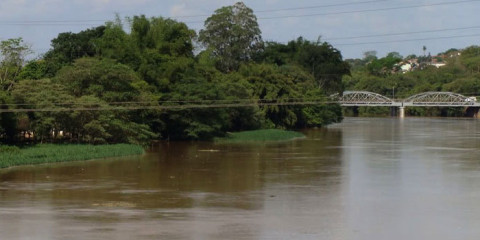 Ibama é condenado a executar projeto de recuperação ambiental em APPs em SP