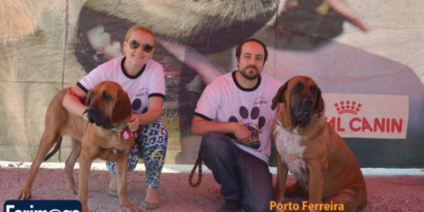 VI FestDog de Porto Ferreira - 31/08