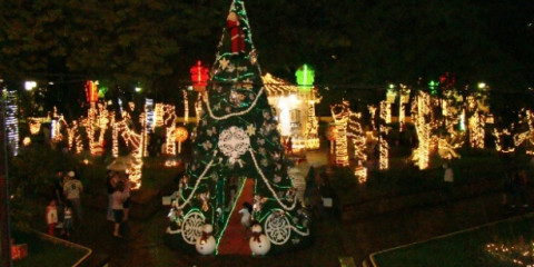 Natal de Luzes leva grande público à praça da Matriz