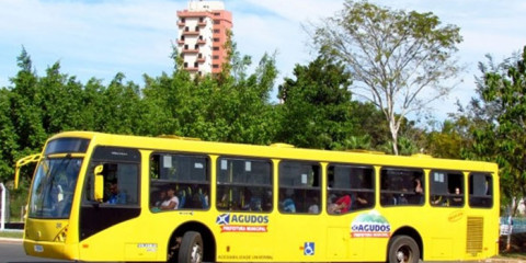 Transporte coletivo gratuíto