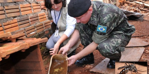 Exército Brasileiro participa do esforço de combate ao mosquito Aedes aegypti