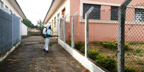 Dengue: Controle de Vetores aguarda resultados de seis exames