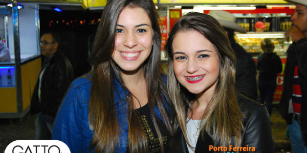 FEIFE 2013 - Show com Michel Teló - P01