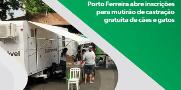 Porto Ferreira abre inscrições para mutirão de castração gratuita de cães e gatos