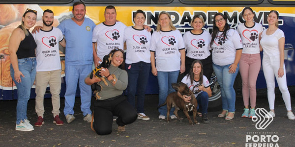 Mutirão no sábado castrou e microchipou mais de 200 cães e gatos